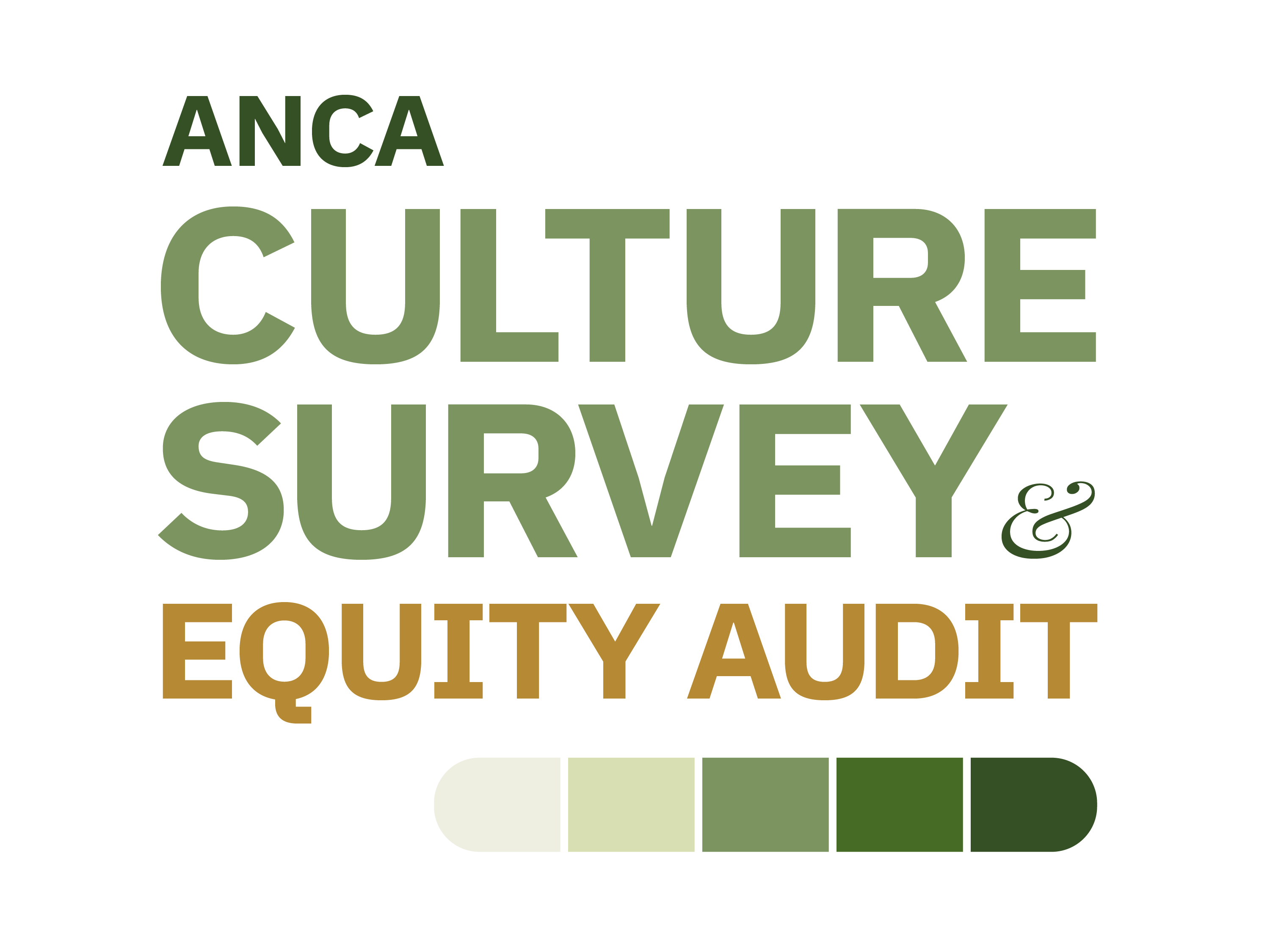 ANCA Culture Survey and Equity Audit 2