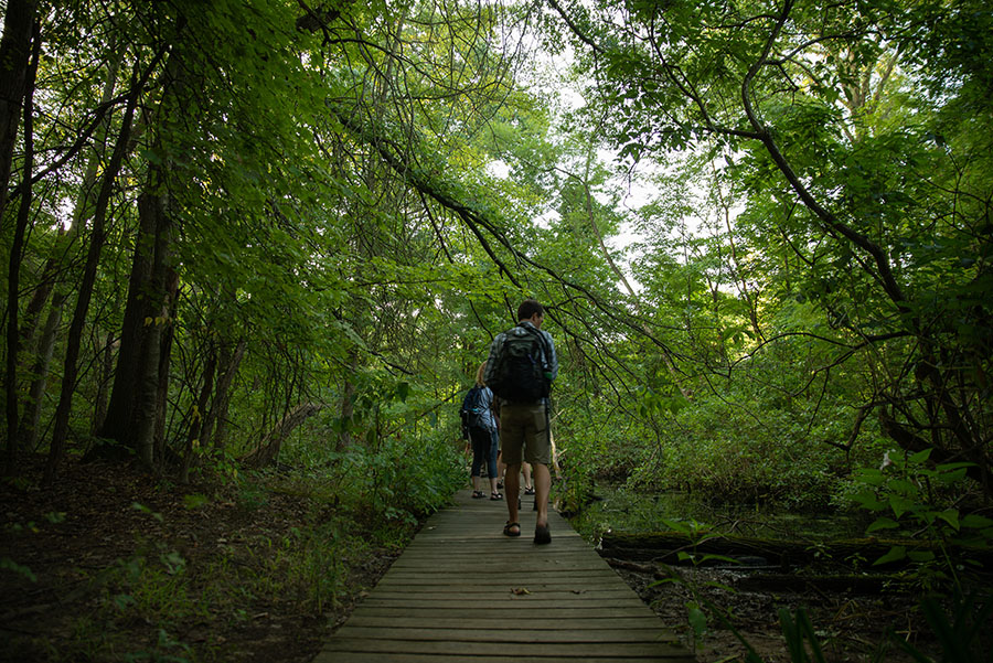 A small group of people walk down a board walk in the bottom-center. Around them are trees and a forest floor with some water.