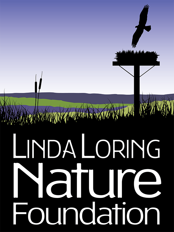LLNF Logo small