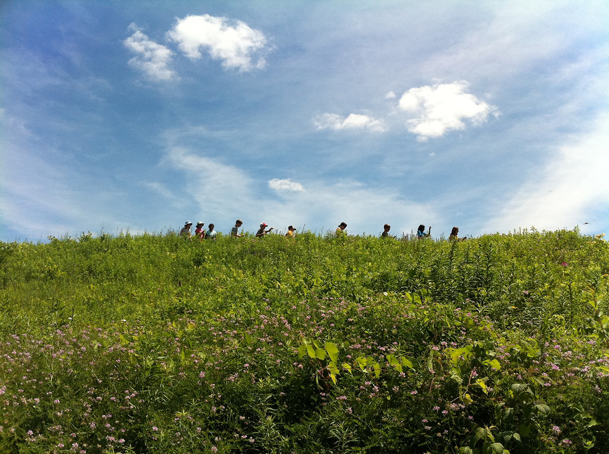 A group of people walk through a prairie in a single-file line. Blue skies with whispy clouds above.