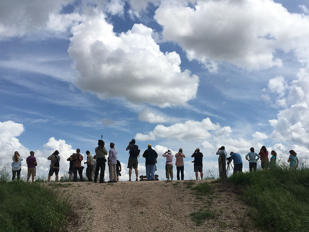ANCA birding group on top of a levee at the Estero Llano Grande State Park in 2018. Photo by Dave Catlin.