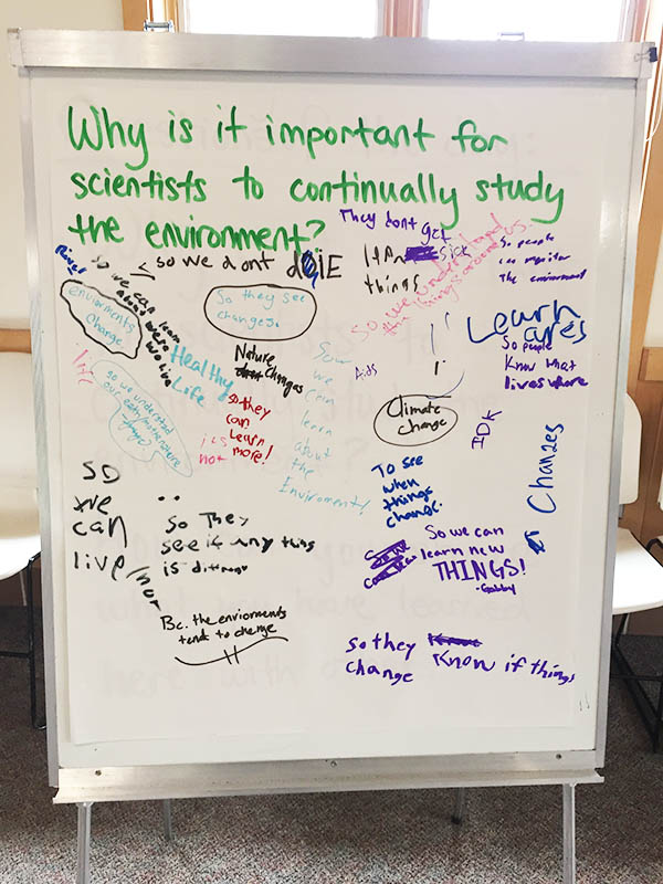 Reflection strategies, such as gallery white board walls, help identify and check in on knowledge, emotions, and arising opportunities.