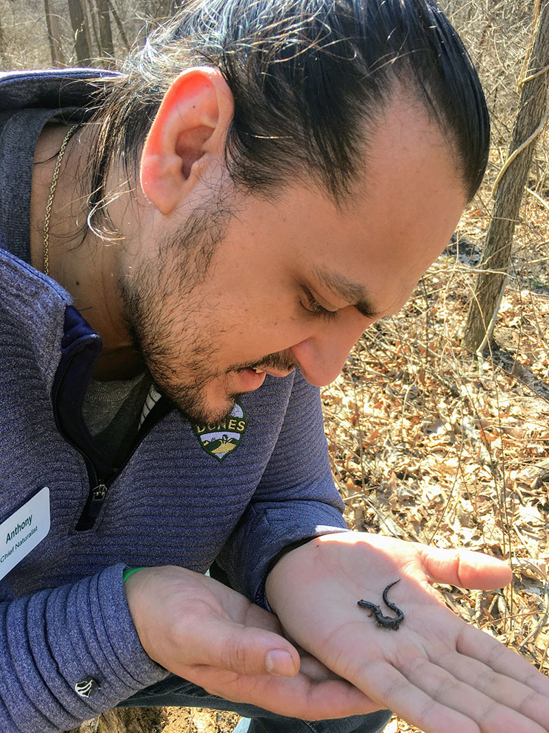 Chief Naturalist Anthony Escobedo inspecting a salamander