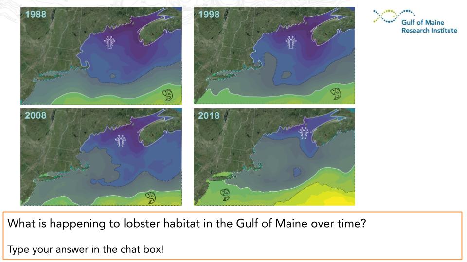 Figure 2 Images of Changing Temperatures in Gulf of Maine