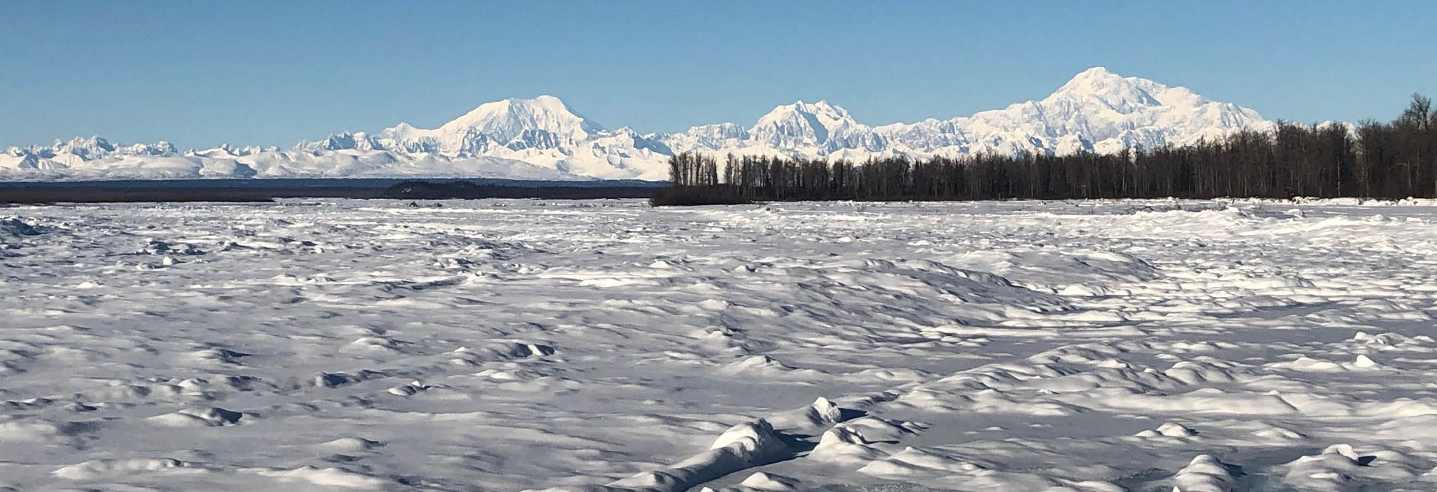A view of Denali from the junction of the Talkeetna and Susitna Rivers,  the traditional land of the Dena’ina.