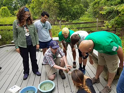 Counselors Learning How to Hold a Frog