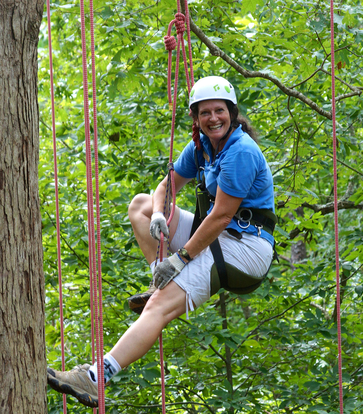 A person wearing a harness and helmet is being held by a rope from above.