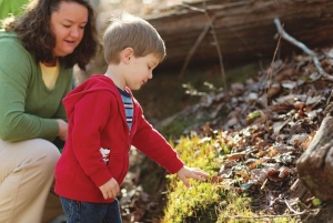 From Concept to Nature Preschool, ANCA Networks Count